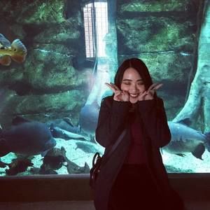 Meet your Posher, Yuan